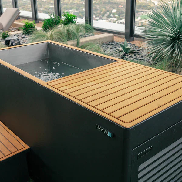 Luxury Cold Plunge