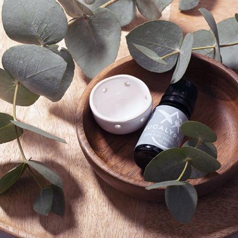 Saunum Aroma Oil Set - Eucalyptus Aroma Oil with Reservoir, 10 mL